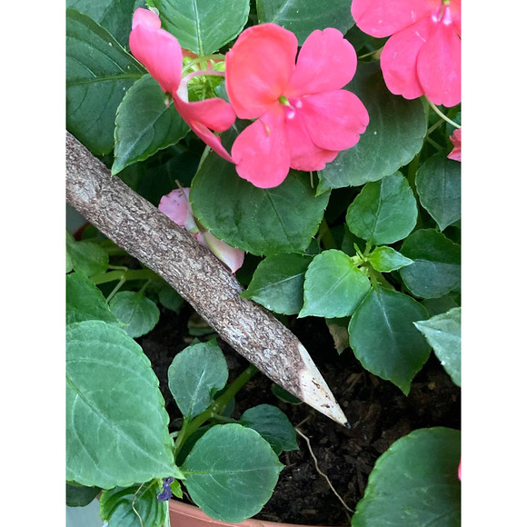 Knit MUSHROOMS Plant Stakes - Mushrooms For Potted Plants - Handmade Pencils - Picture 7 of 9